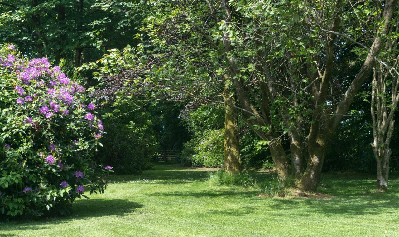 منزل الضيف Eaglesfield  في Blacket House المظهر الخارجي الصورة