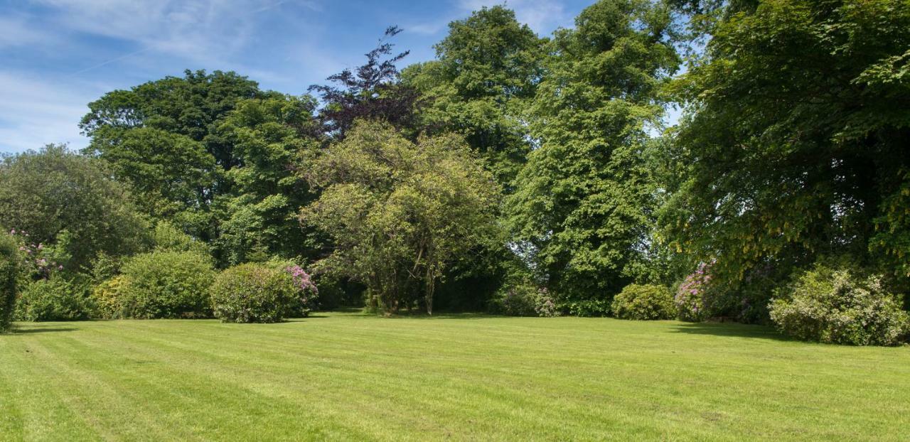 منزل الضيف Eaglesfield  في Blacket House المظهر الخارجي الصورة